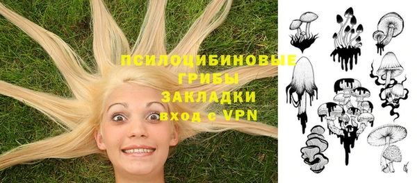 ешки Аркадак