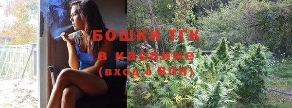 ешки Аркадак