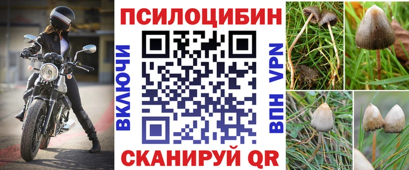 купить  сайты  Славск  Псилоцибиновые грибы Cubensis 